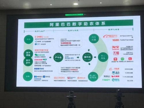 數(shù)字賦能 鏈動全球 中國農(nóng)產(chǎn)品電商的崛起與數(shù)字內容服務新篇章